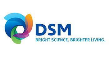 DSM