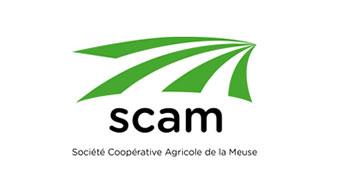 scam